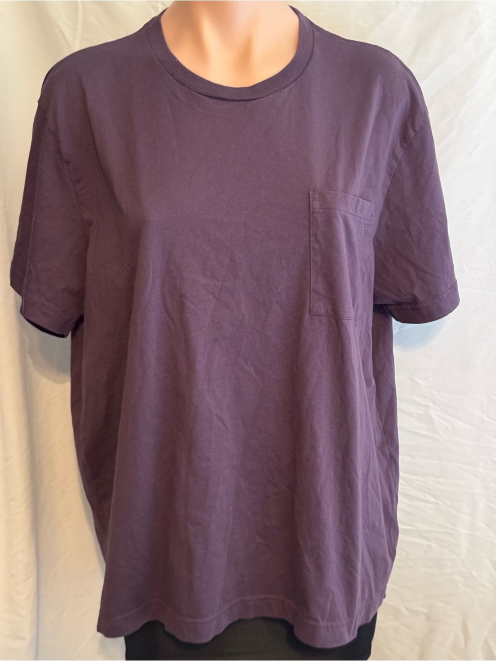 Goodthreads Men's Short Sleeve Pocket Tee in Plum